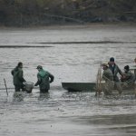 Kolowratské rybářství