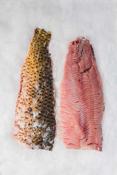 thumb Kapr filet chlazeny
