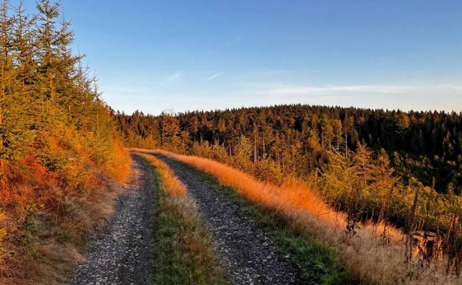 Omezení vstupu do Kolowratských lesů